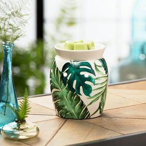 Rainforest fern warmer